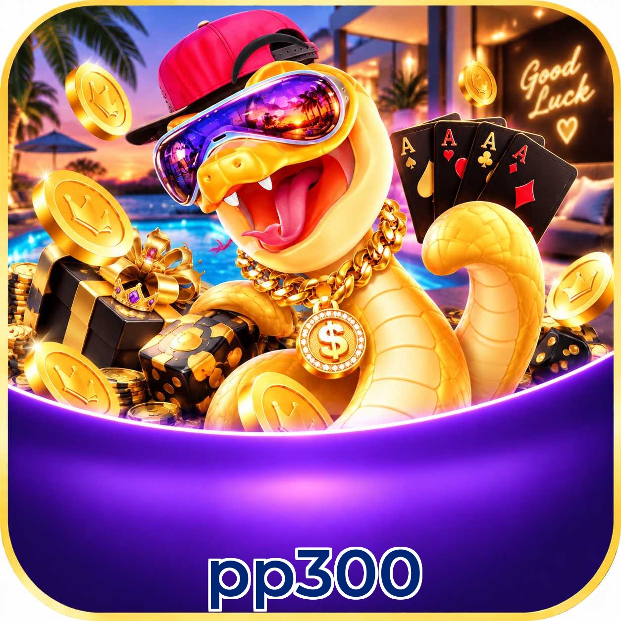 pp300 Telegram FAQ