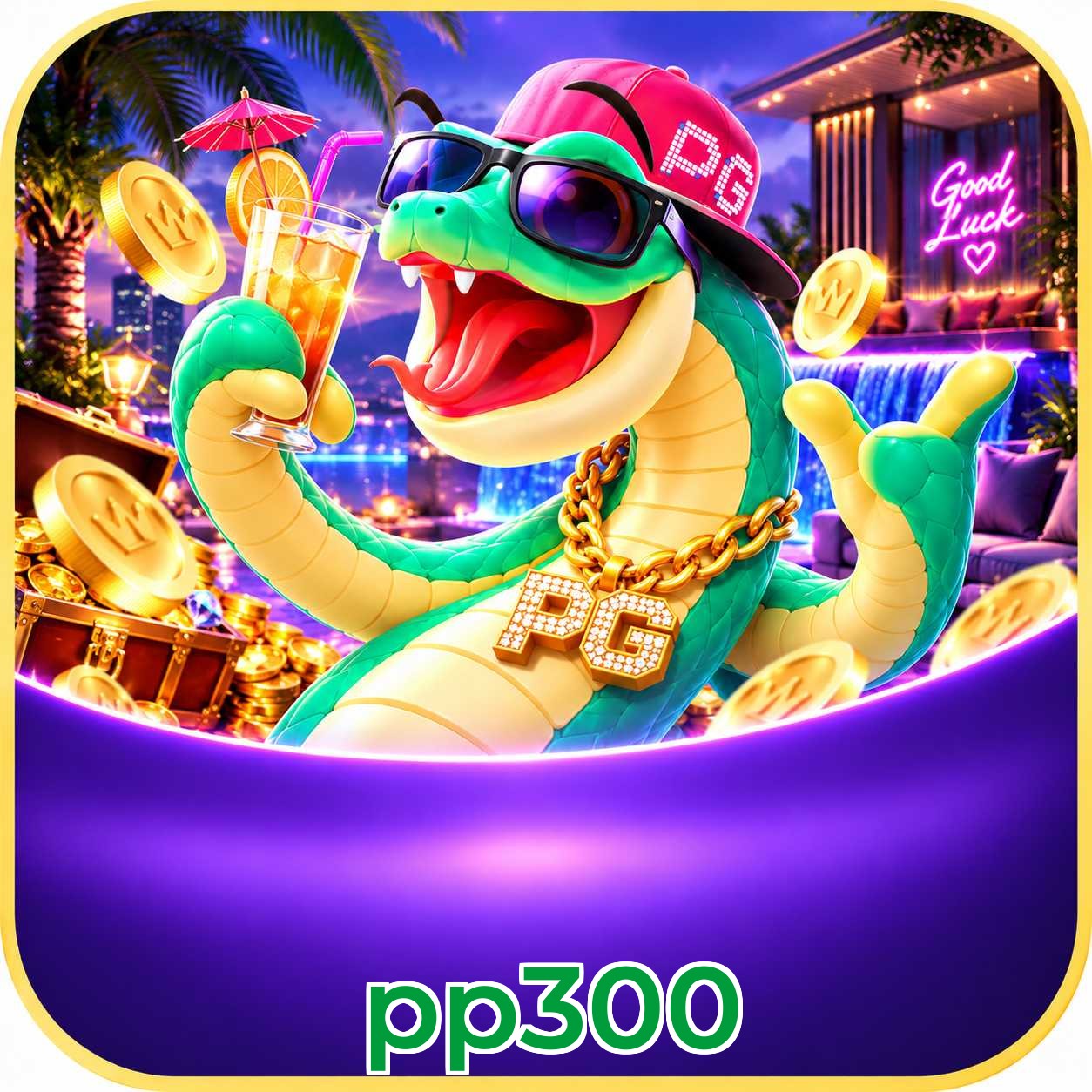 pp300 Final Verdict
