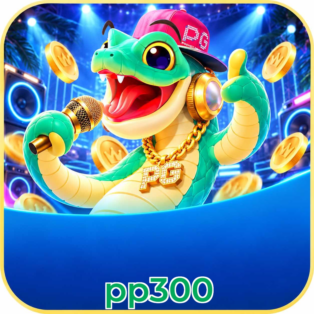 pp300 VIP Program