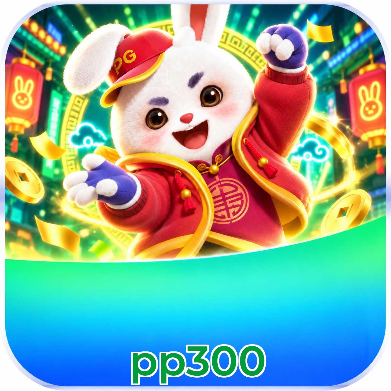 pp300 Login FAQ