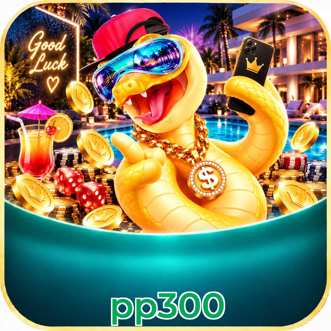 pp300 VIP FAQ