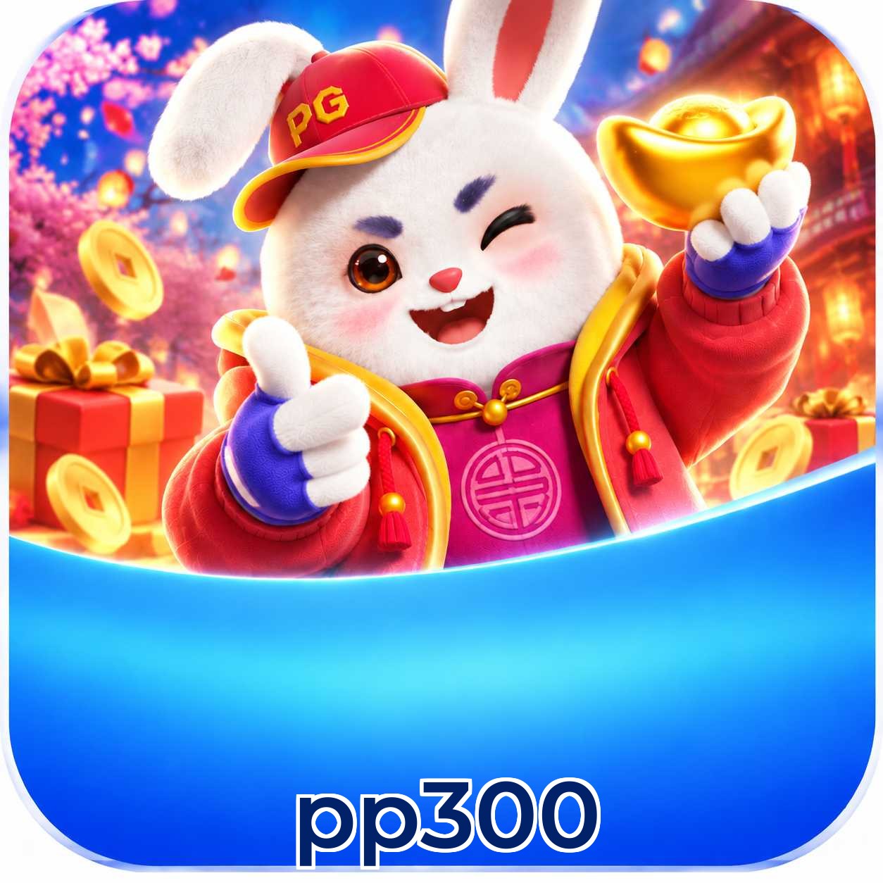pp300 Security